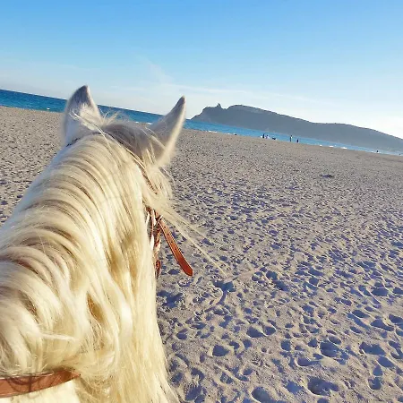 Beach Capitana